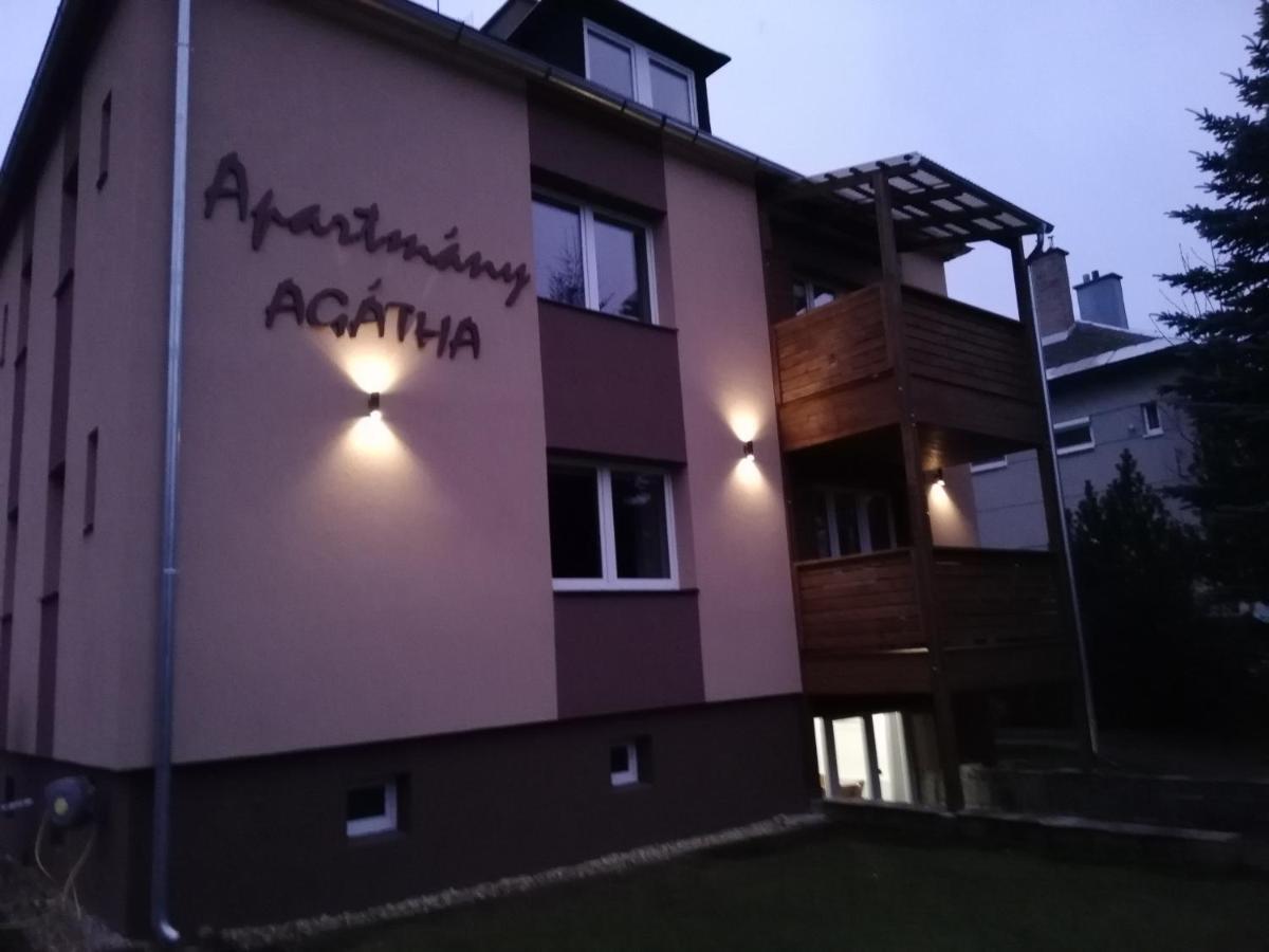 Apartmany Agatha Лоучна-над-Десноу Экстерьер фото